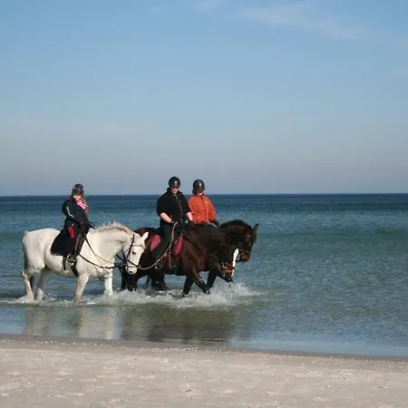 Apartmenthaus Am Park מלון דירות 4*