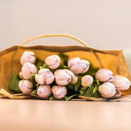 Apartmenthaus Am Park Apartmanhotel 4*